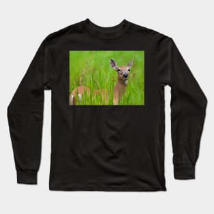 Doe in tall grass Long Sleeve T-Shirt